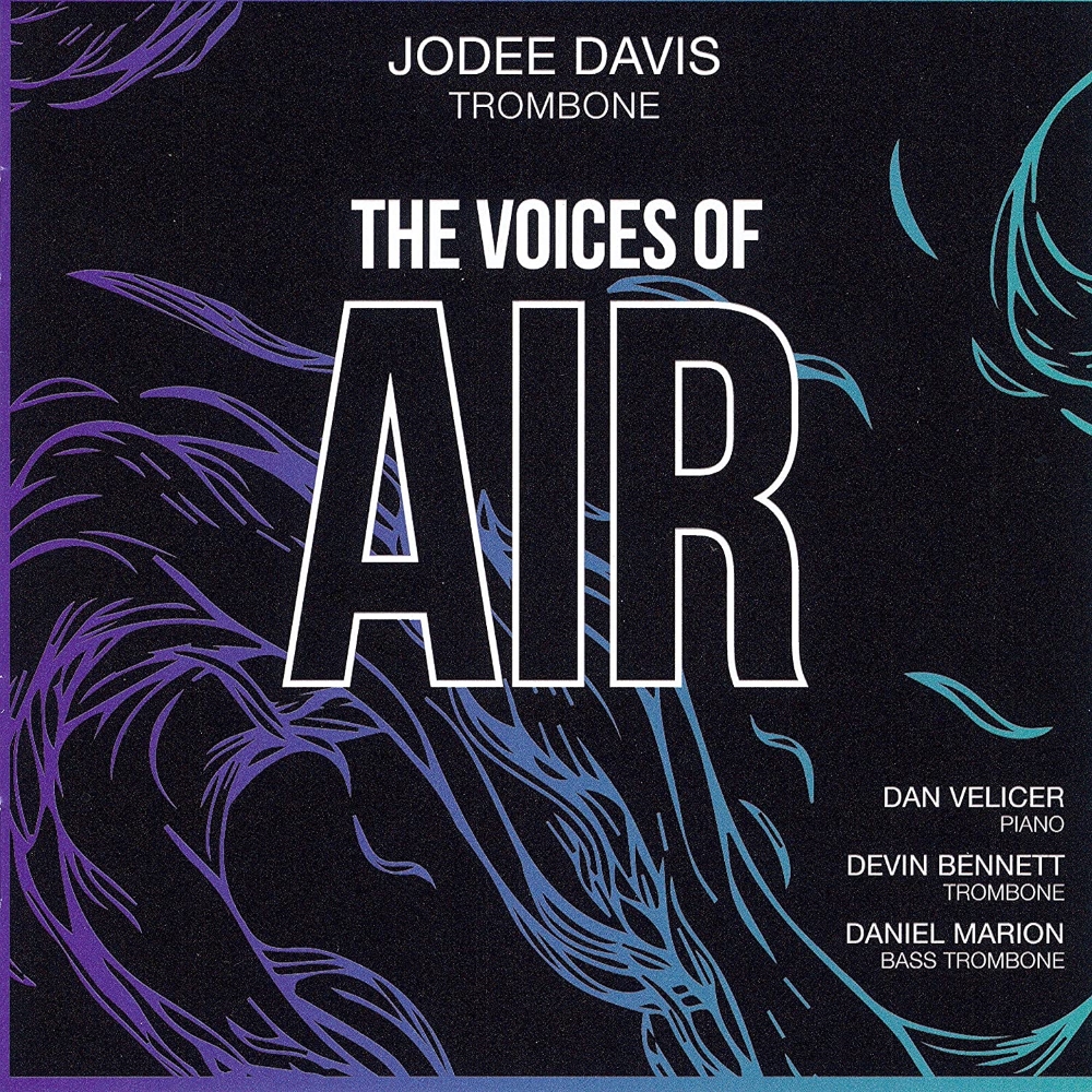 (image for) The Voices Of Air