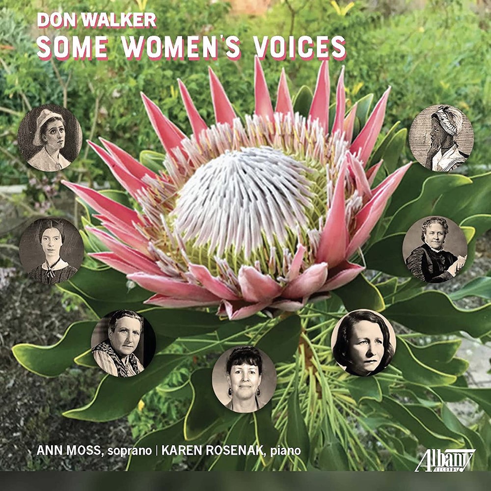 Don Walker- Some Women's Voices (image for) Don Walker- Some Women's Voices