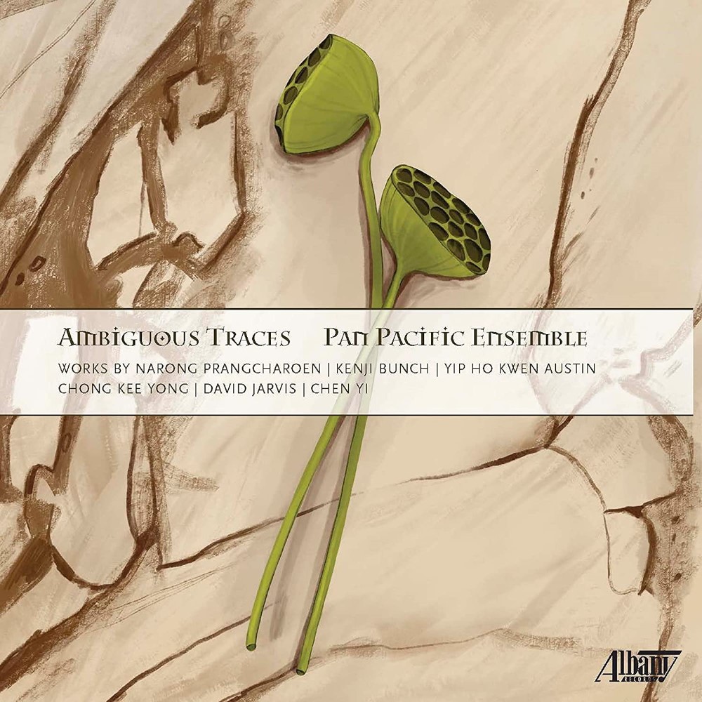(image for) Ambiguous Traces
