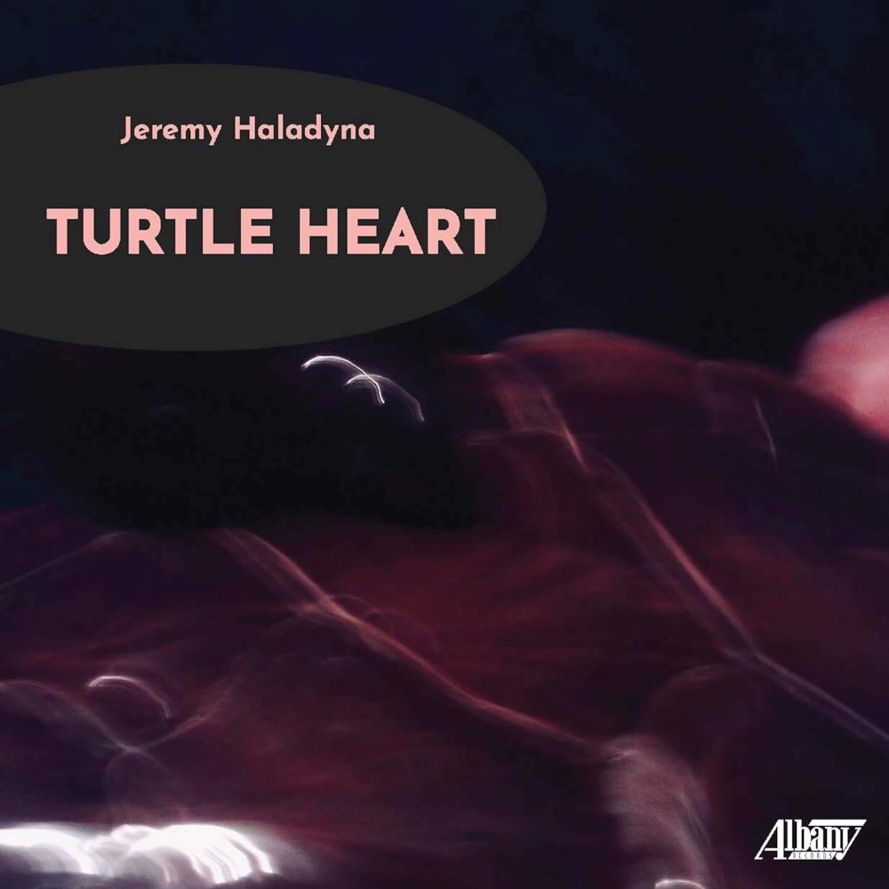 (image for) Turtle Heart