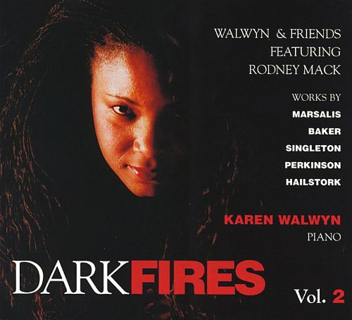 (image for) Dark Fires, Vol. 2