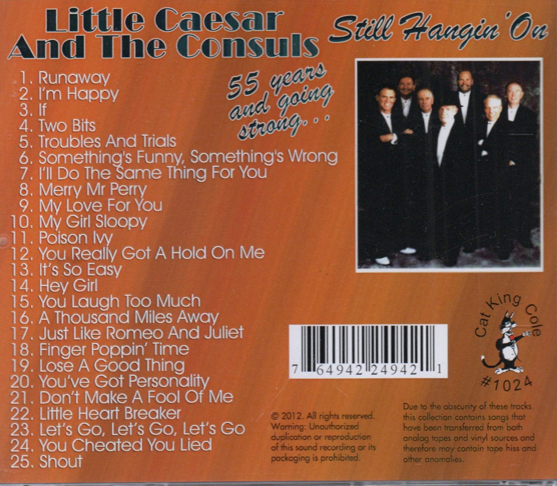 (image for) Still Hangin' On (Import)