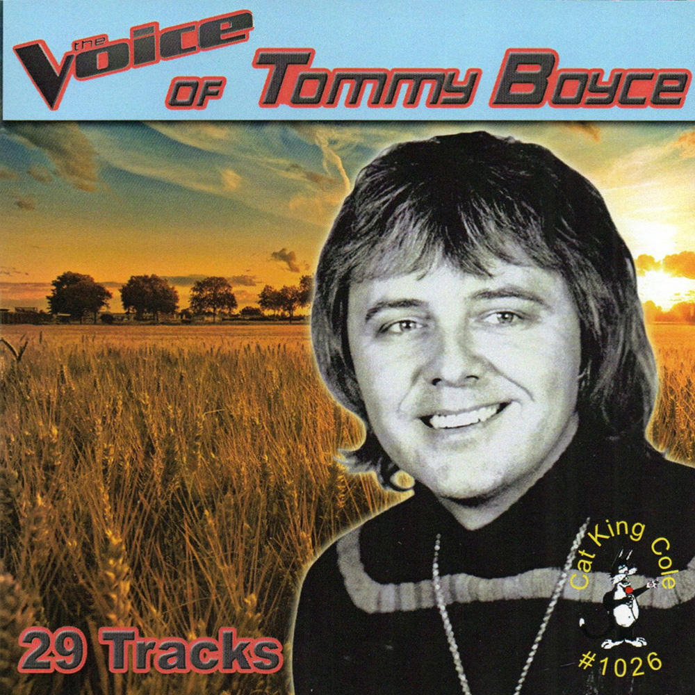 (image for) Voice of Tommy Boyce