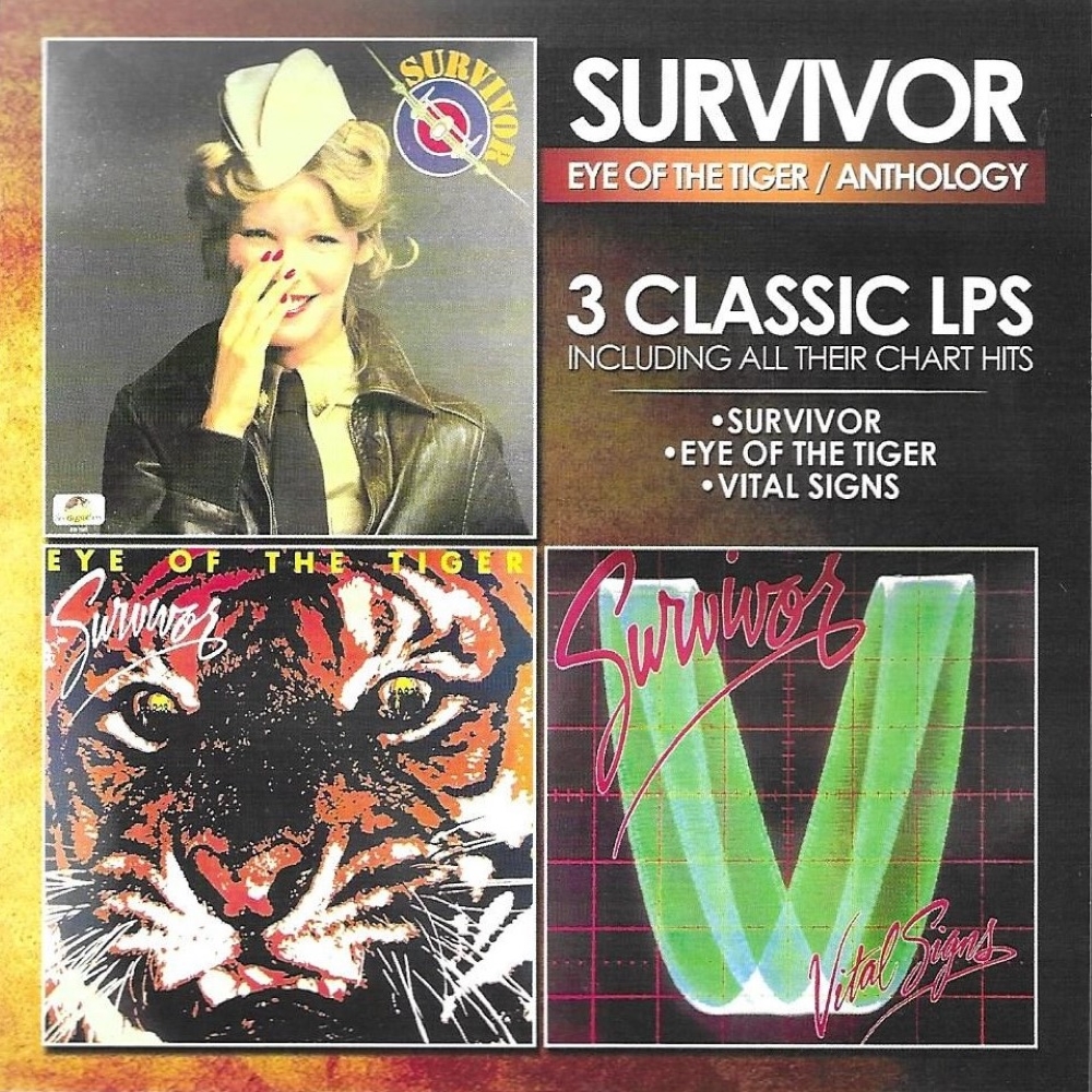 3 Classic LPs Including All Their Chart Hits (2 CD) (image for) 3 Classic LPs Including All Their Chart Hits (2 CD)