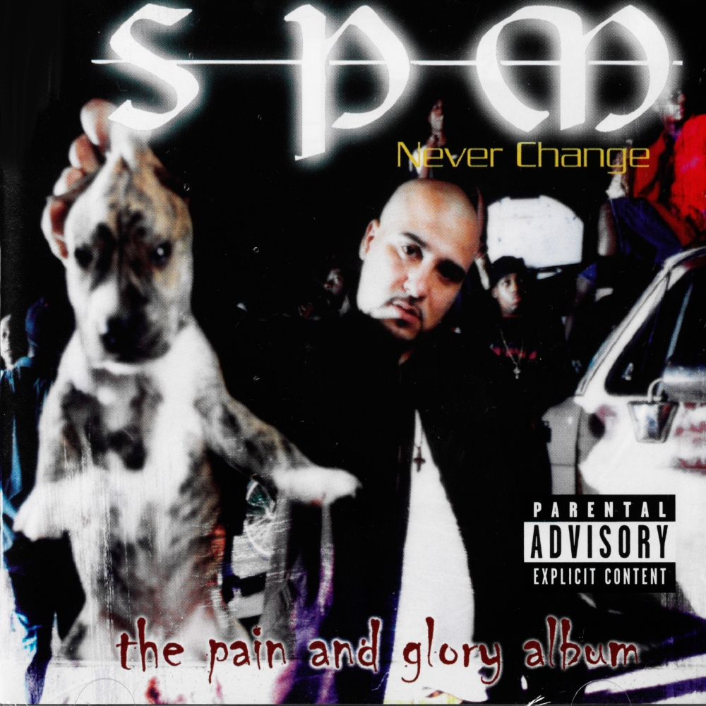 (image for) Never Change-The Pain And Glory Album
