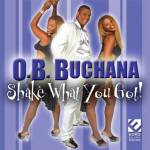 (image for) Shake What You Got