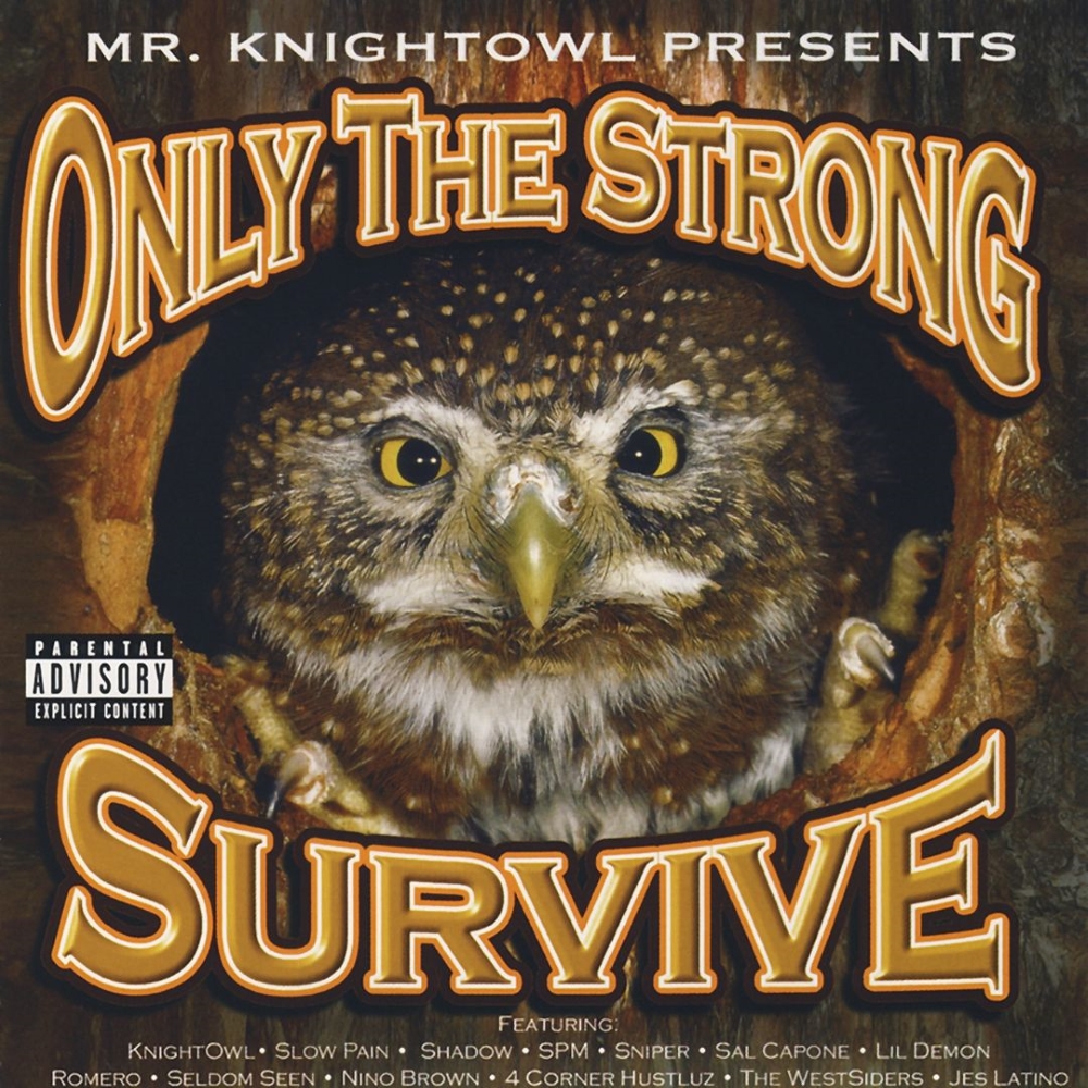 Mr. Knightowl Presents Only The Strong Survive (image for) Mr. Knightowl Presents Only The Strong Survive