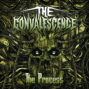 (image for) The Process
