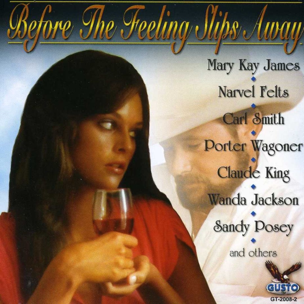 (image for) Country's Best-Before The Feeling Slips Away