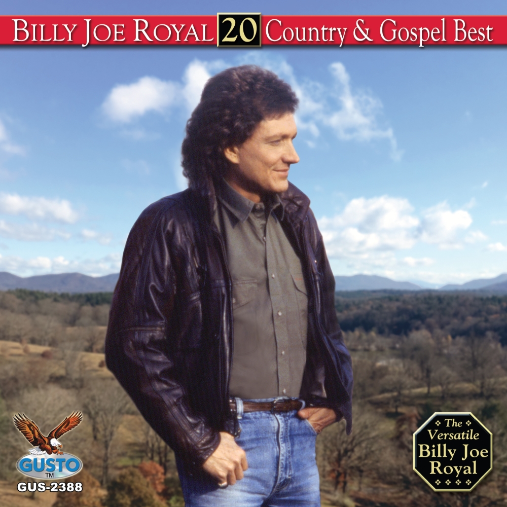 (image for) 20 Country & Gospel Best