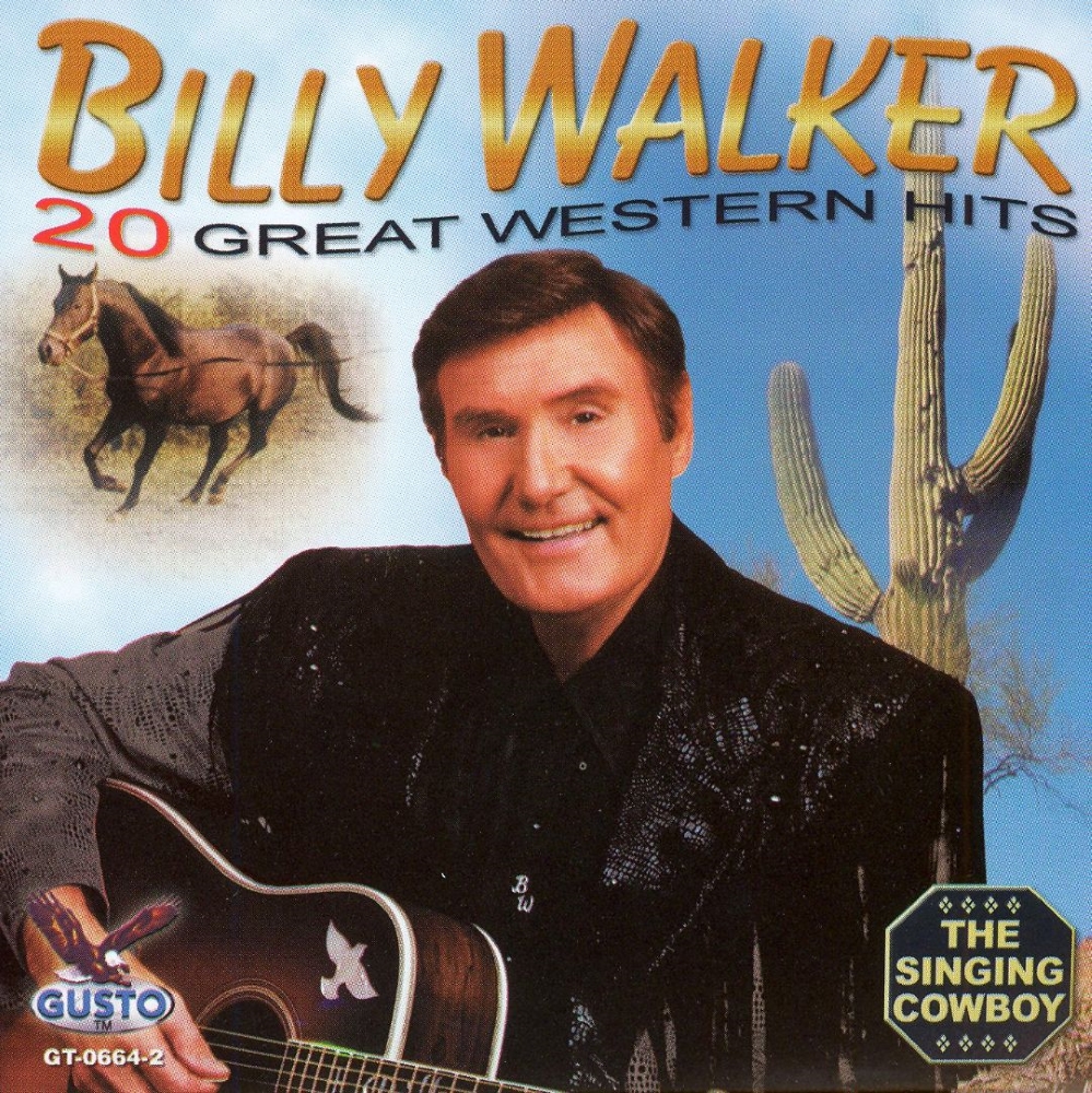 (image for) 20 Great Western Hits