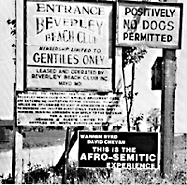 (image for) This Is The Afro Semetic Experience