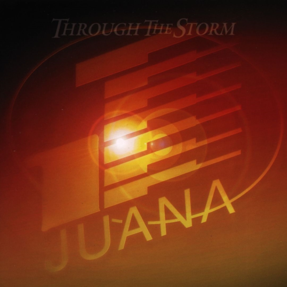 (image for) Through The Storm (Cassette)