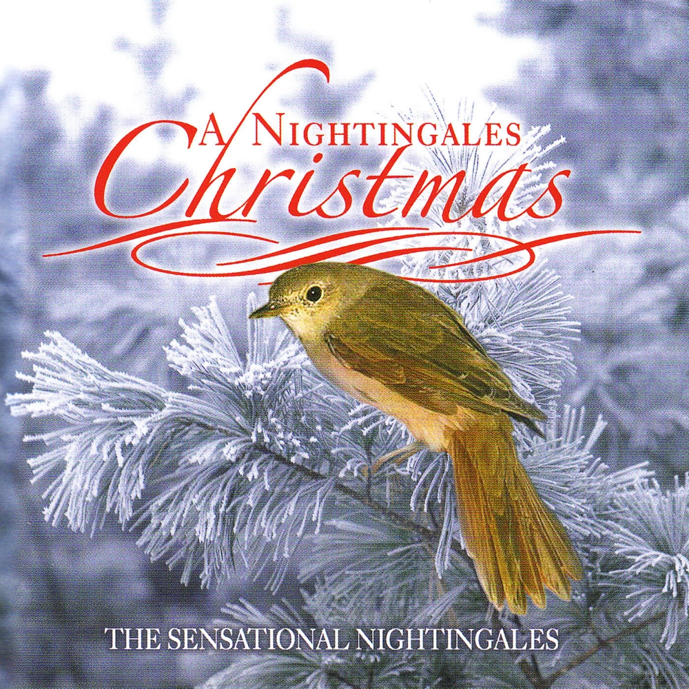 (image for) Nightingales Christmas