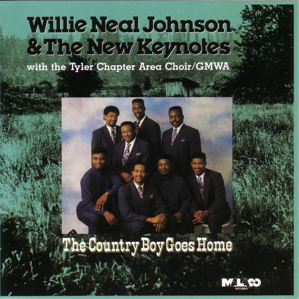 (image for) Country Boy Goes Home