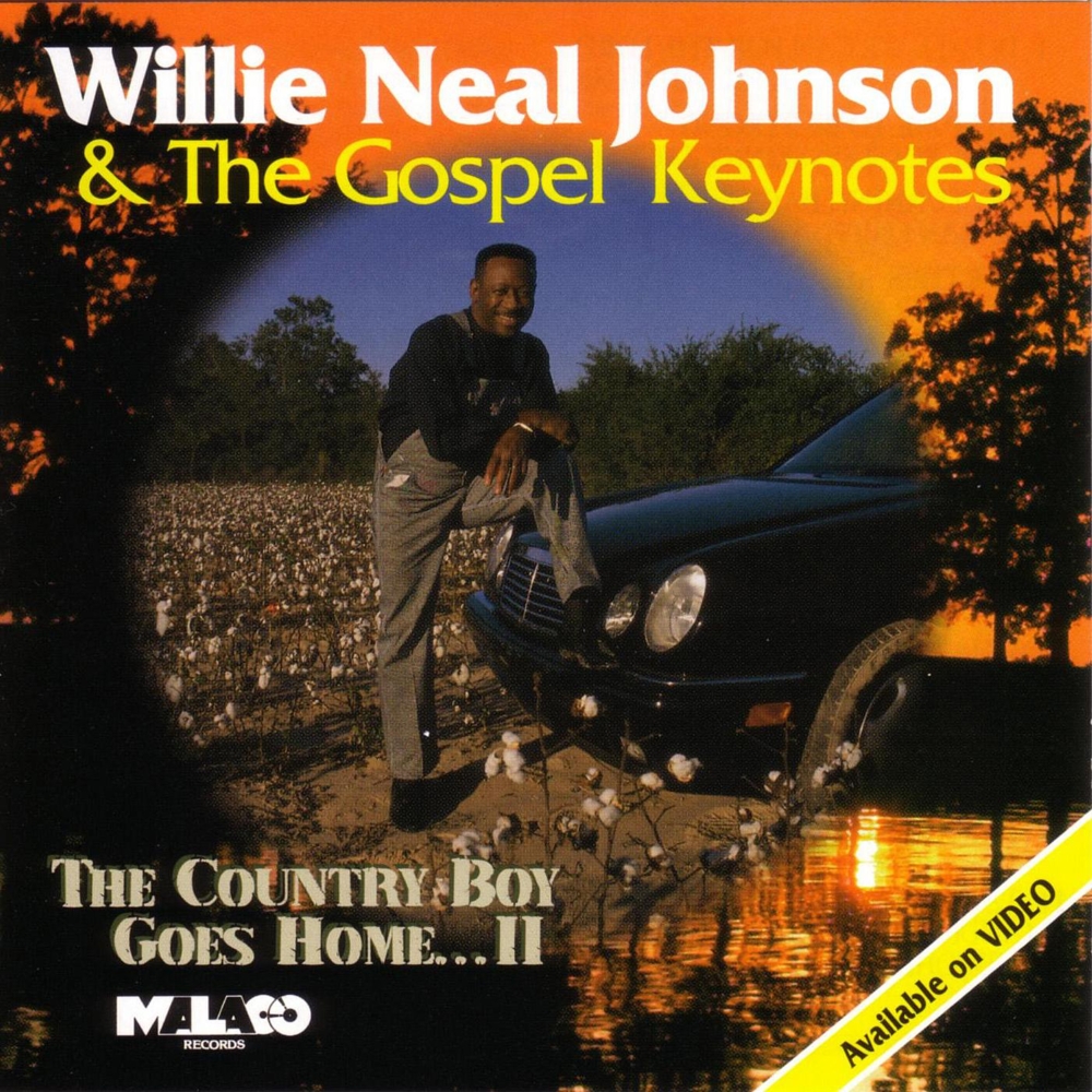 The Country Boy Goes Home II (Cassette) (image for) The Country Boy Goes Home II (Cassette)