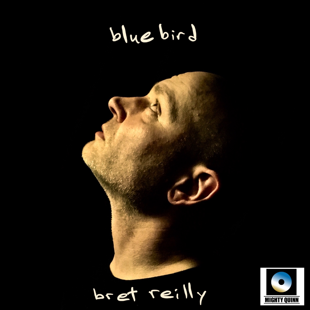 (image for) Bluebird
