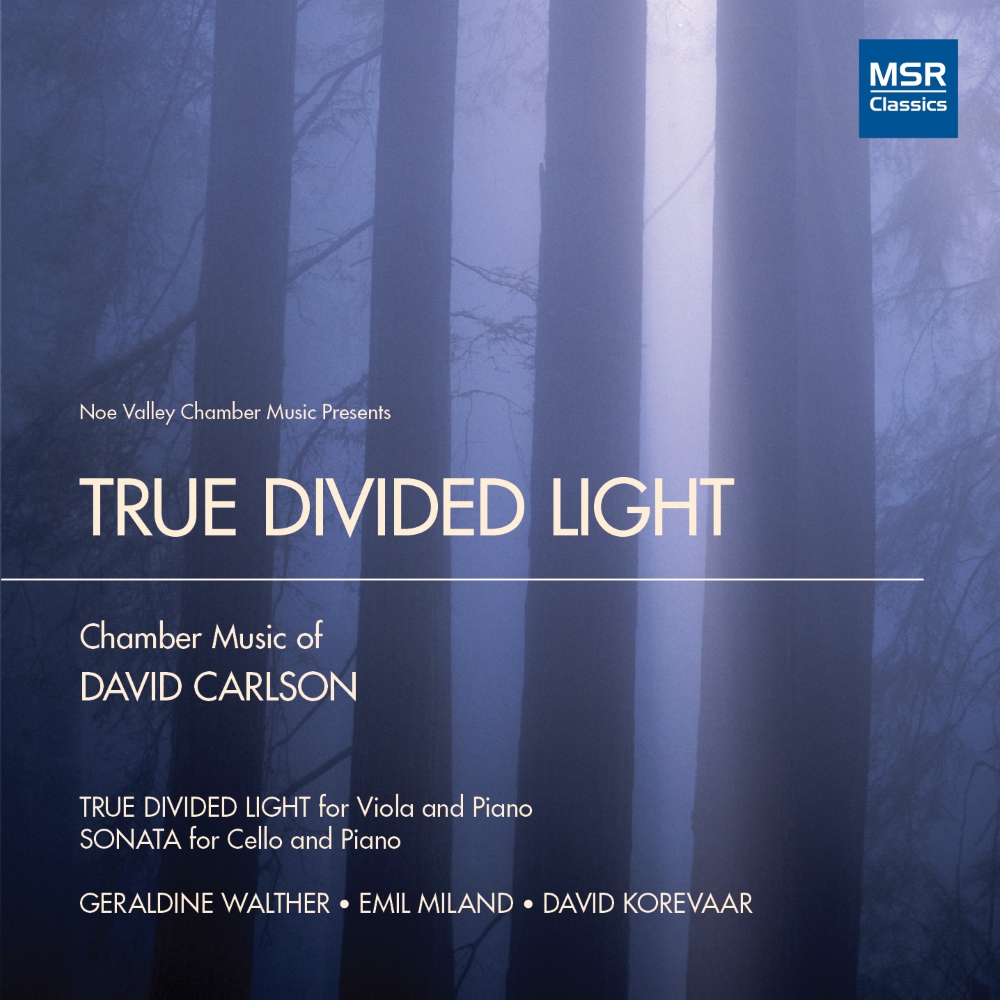 True Divided Light-Chamber Music Of David Carlson (image for) True Divided Light-Chamber Music Of David Carlson