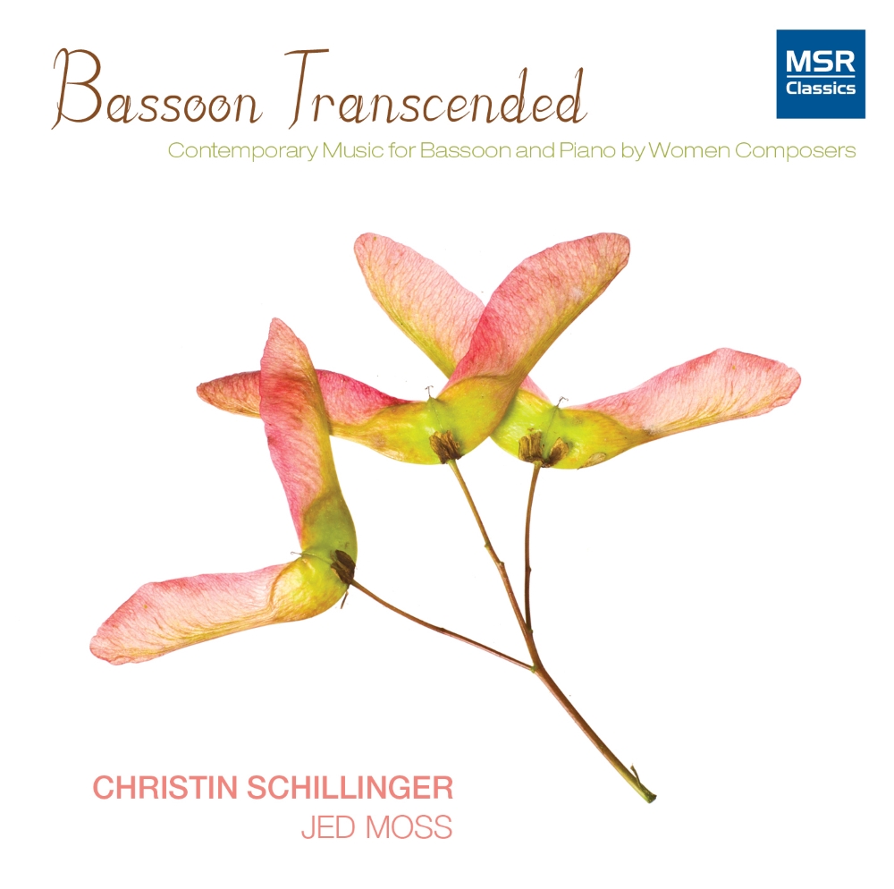 Bassoon Transcended (image for) Bassoon Transcended