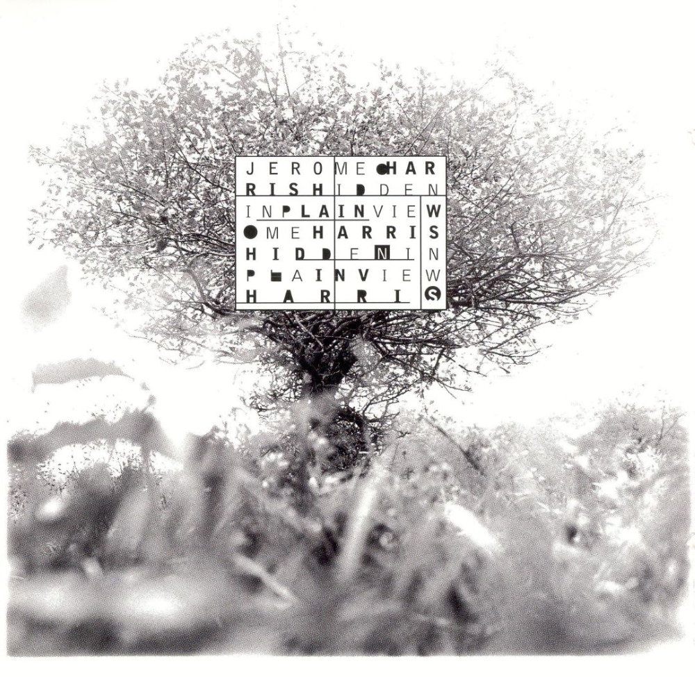 (image for) Hidden In Plain View