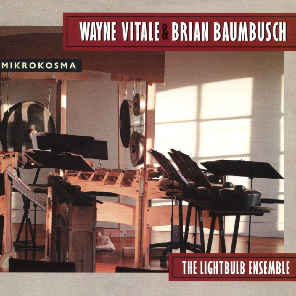 Wayne Vitale & Brian Baumbusch-Mikrokosma (image for) Wayne Vitale & Brian Baumbusch-Mikrokosma