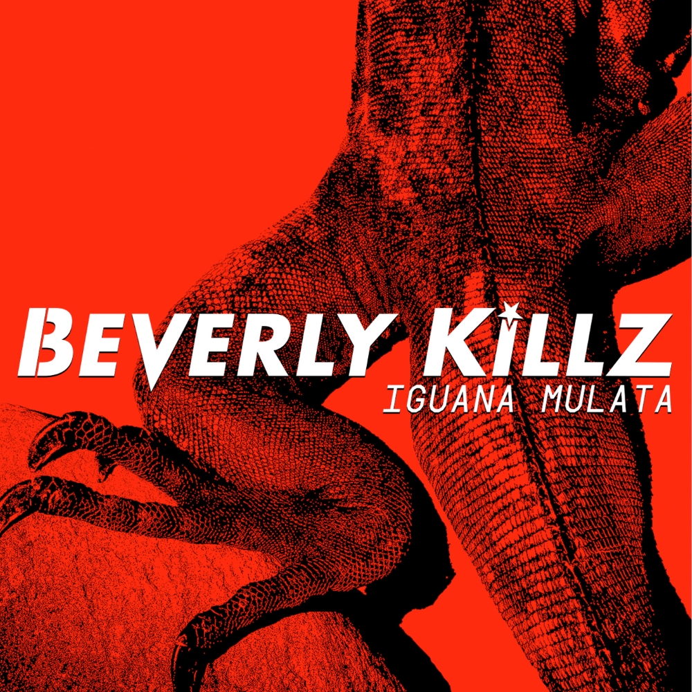 (image for) Iguana Mulata
