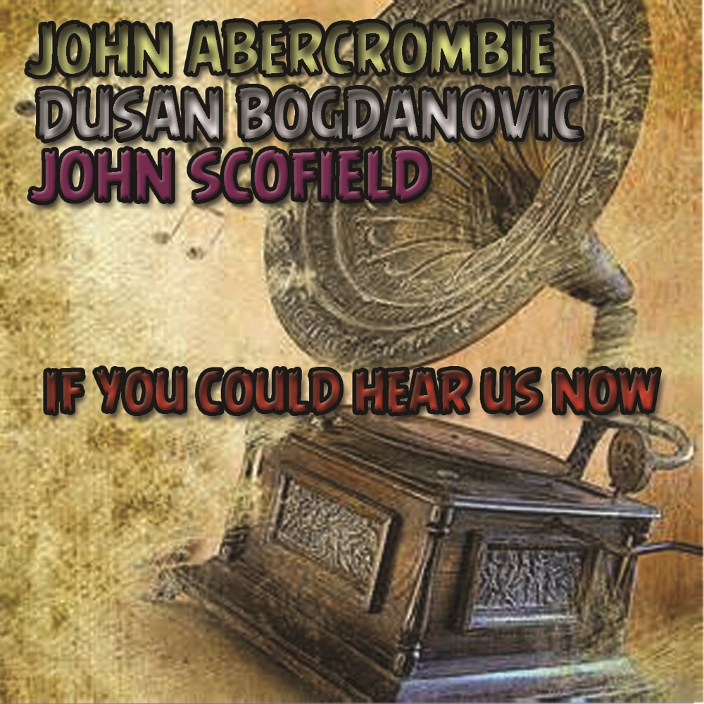 If You Could Hear Us Now (image for) If You Could Hear Us Now