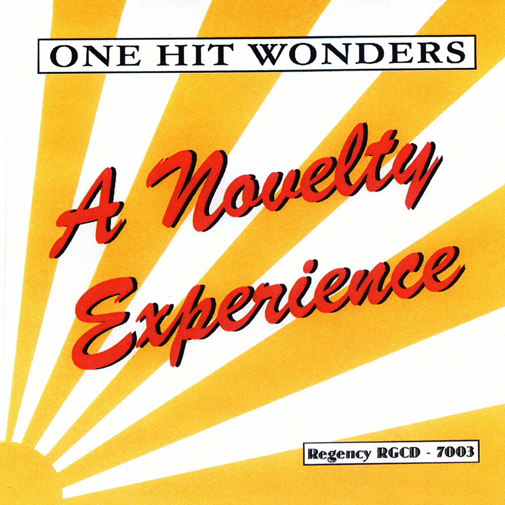 One Hit Wonders: A Novelty Experience (image for) One Hit Wonders: A Novelty Experience