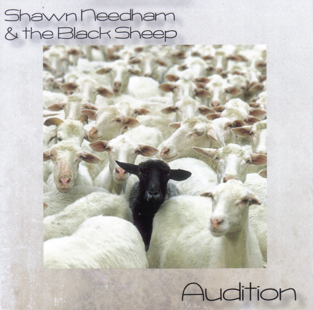 (image for) Audition
