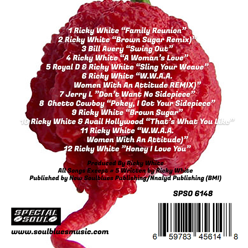 (image for) Super Hot New Southern Soul