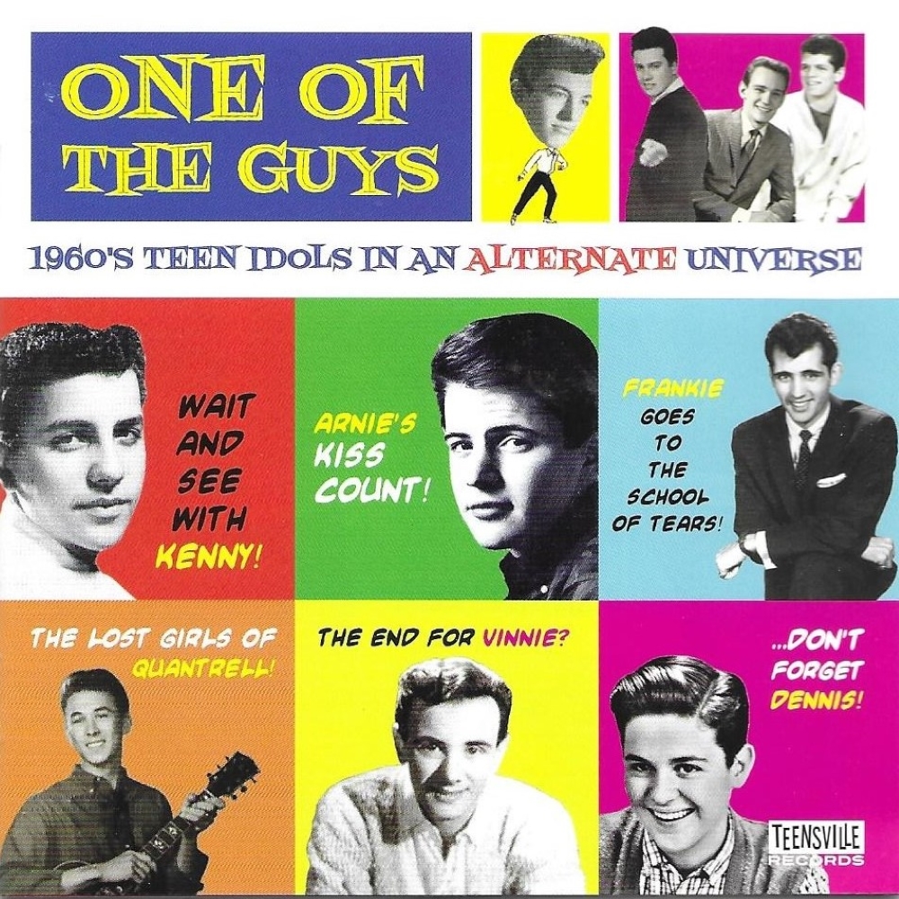 (image for) One Of The Guys-1960s Teen Idols In An Alternate Universe