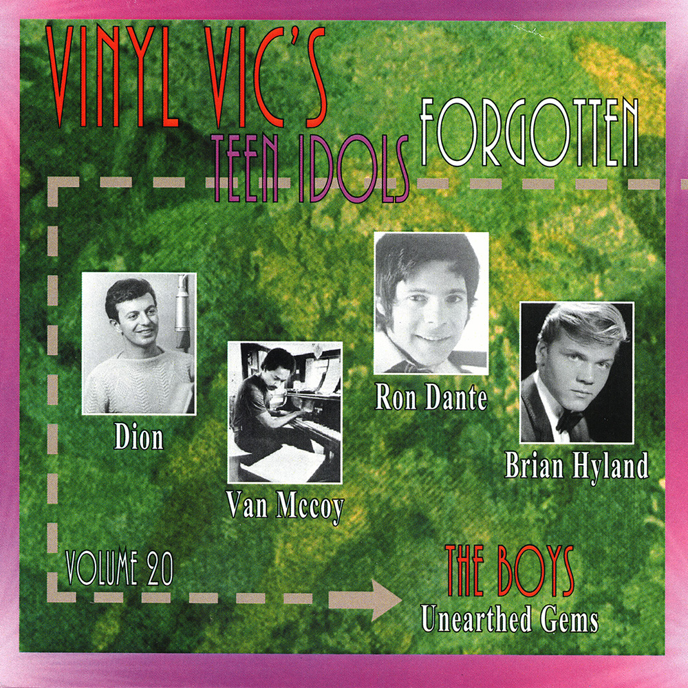 Vinyl Vic's Forgotten Teen Idols, Vol. 20: The Boys - Unearthed Gems (image for) Vinyl Vic's Forgotten Teen Idols, Vol. 20: The Boys - Unearthed Gems