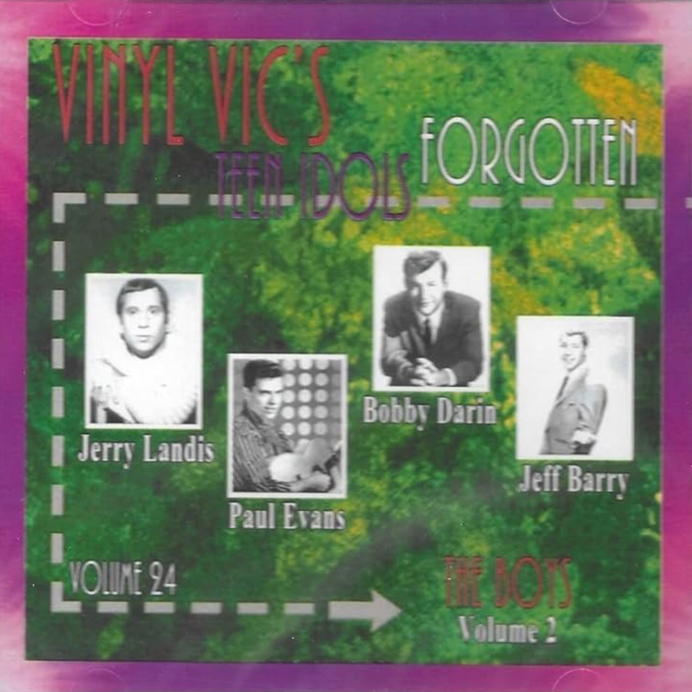 (image for) Vinyl Vic's Forgotten Teen Idols, Vol. 24: The Boys, Vol. 2