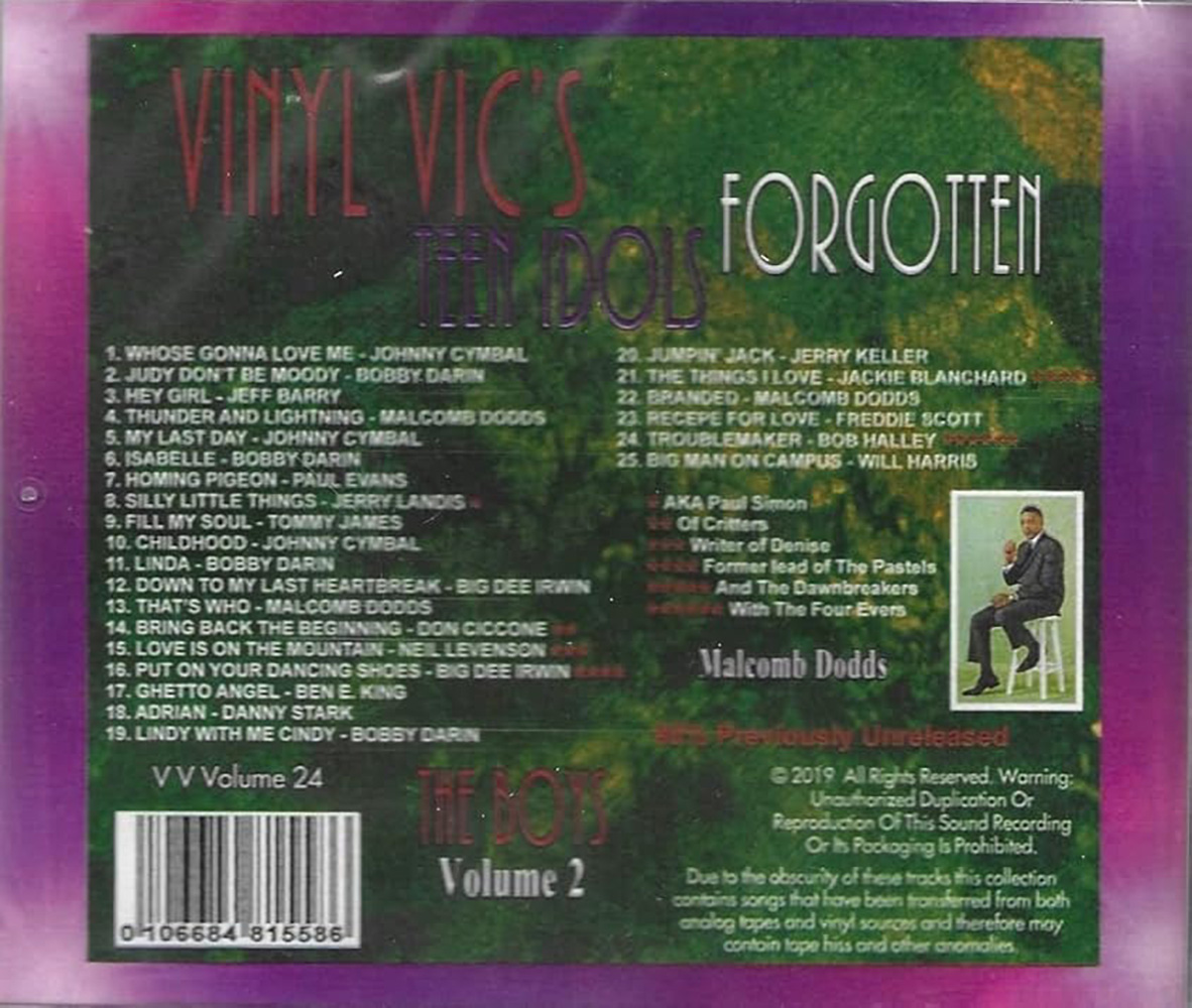 (image for) Vinyl Vic's Forgotten Teen Idols, Vol. 24: The Boys, Vol. 2