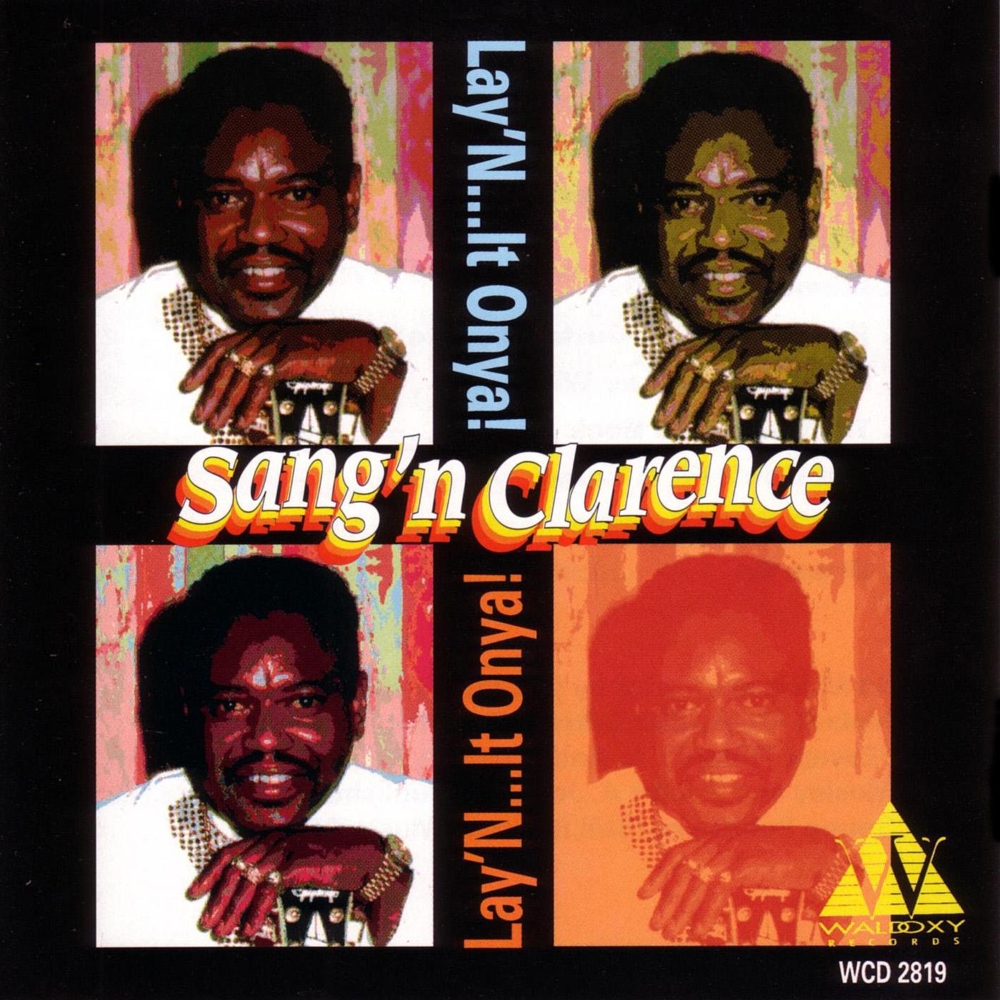 (image for) Lay 'N... It Onya! (Cassette)