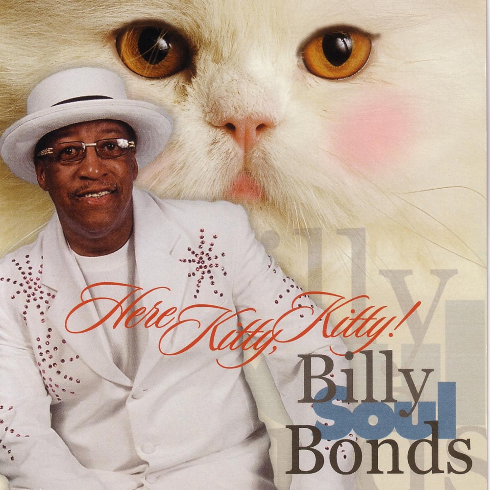 (image for) Here Kitty, Kitty