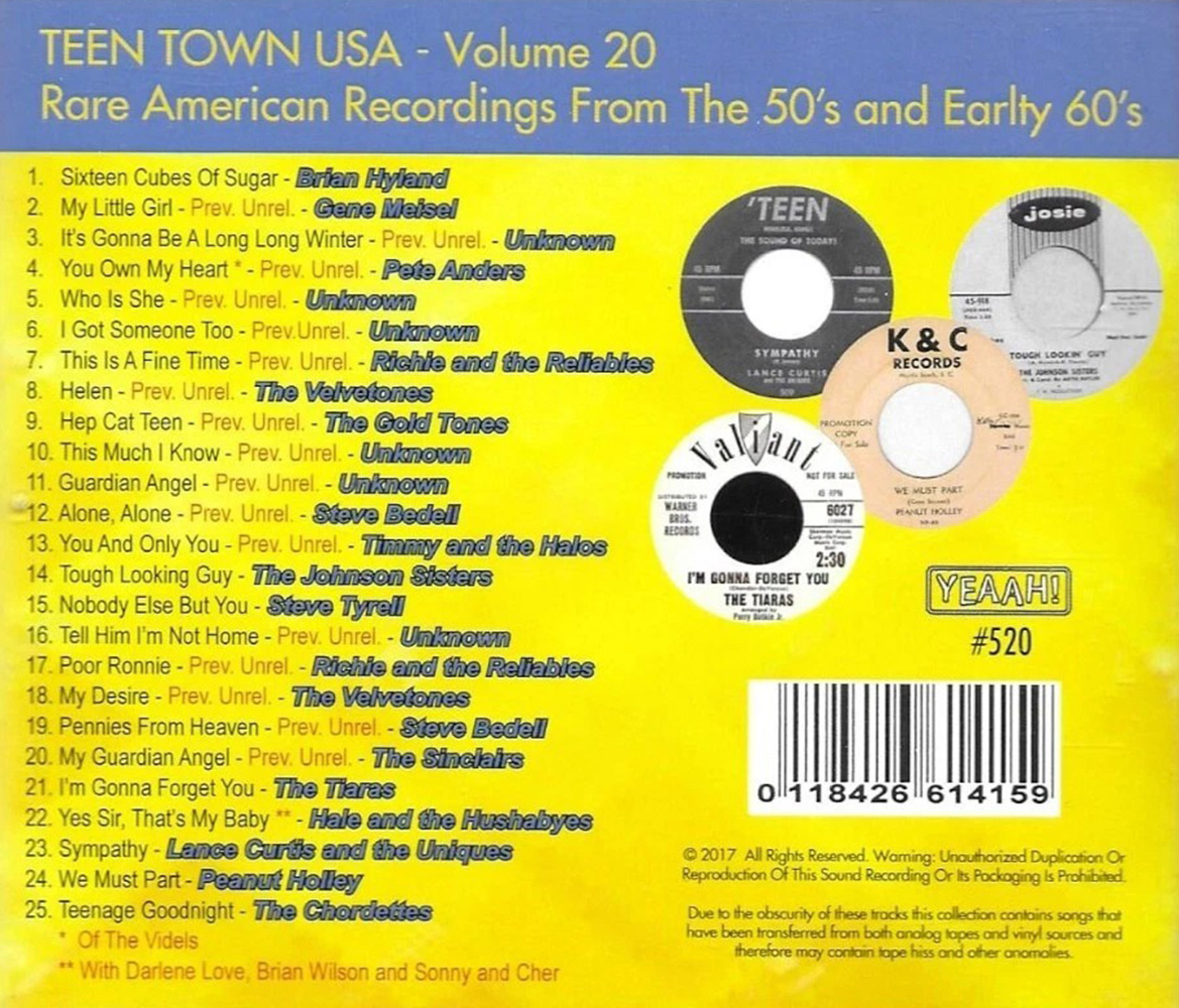 (image for) Teen Town U.S.A., Vol. 20