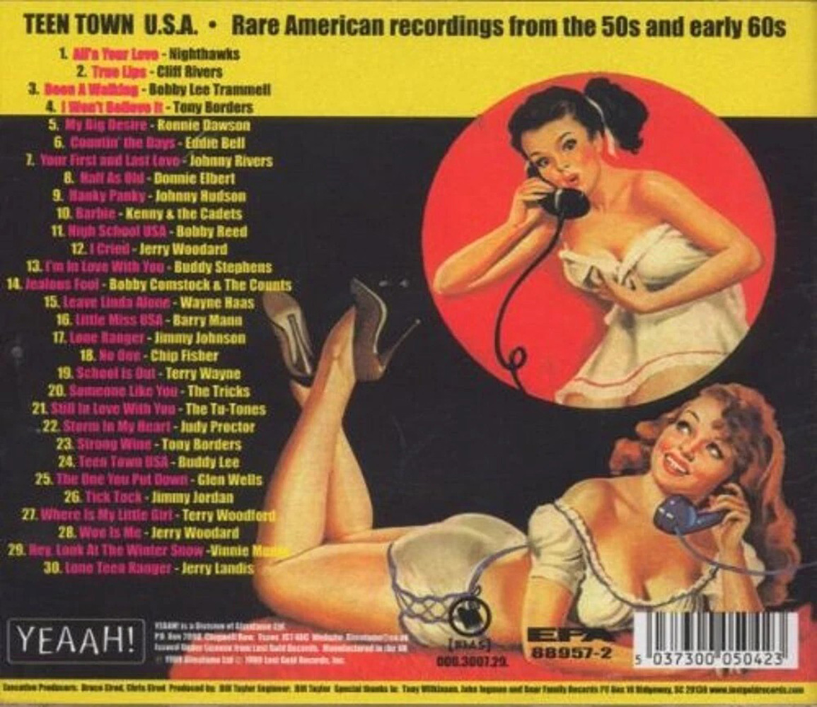 (image for) Teen Town U.S.A.