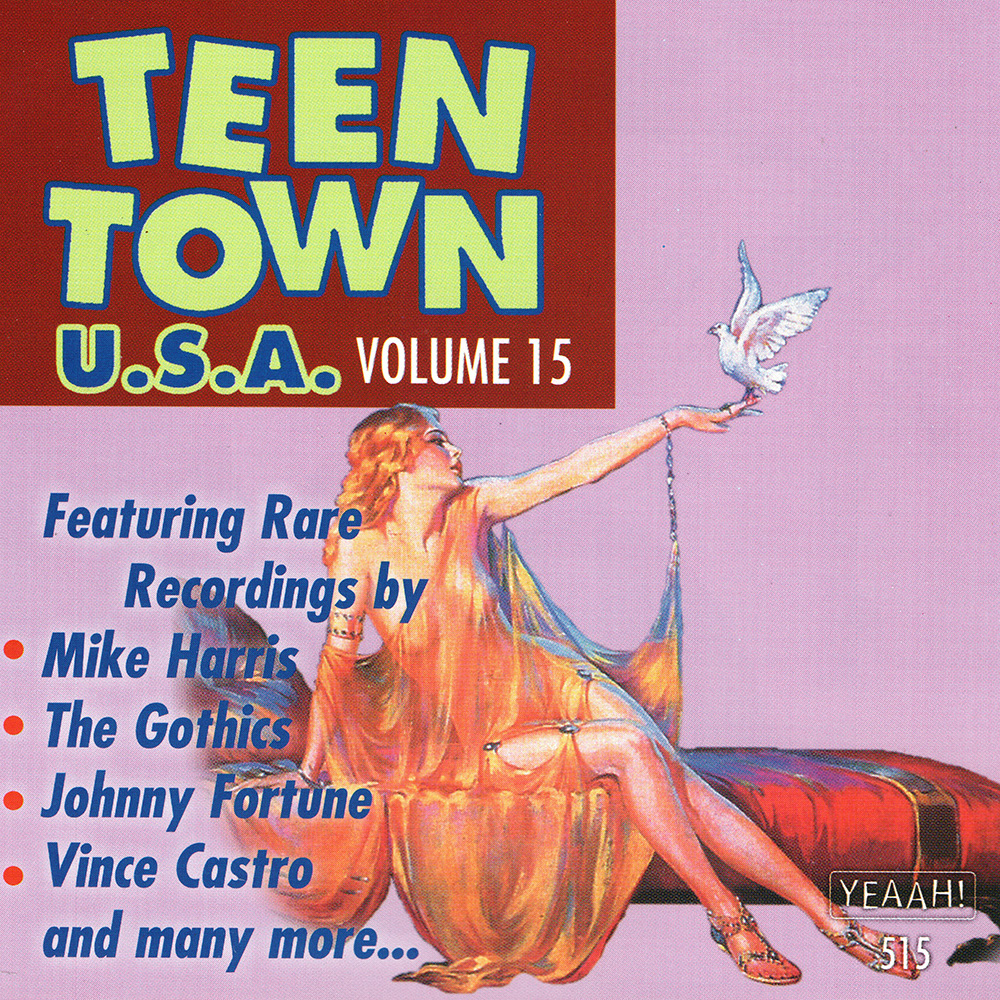 Teen Town USA, Vol. 15 (image for) Teen Town USA, Vol. 15