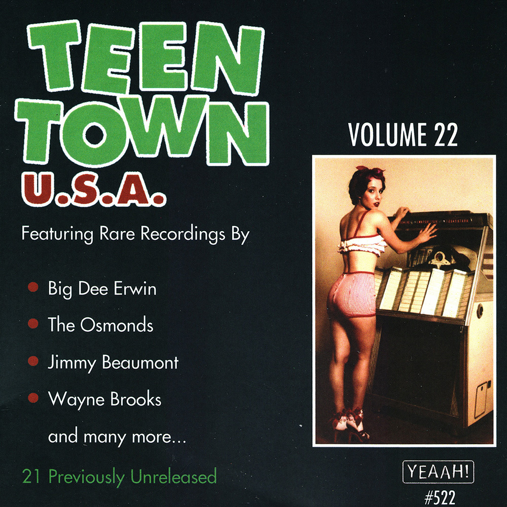 Teen Town USA, Vol. 22 (image for) Teen Town USA, Vol. 22