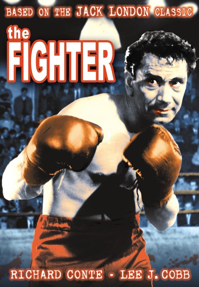 (image for) The Fighter (DVD)