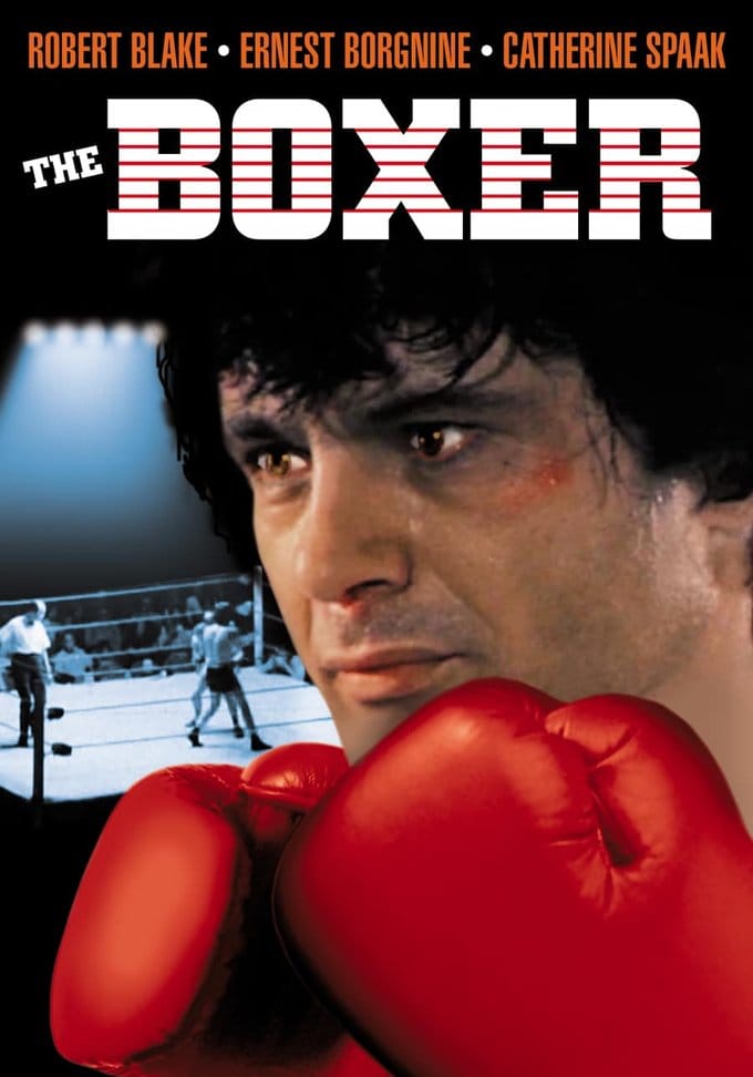 (image for) The Boxer (DVD)