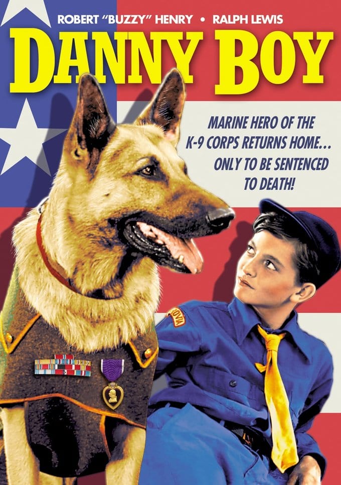 Danny Boy (DVD) (image for) Danny Boy (DVD)