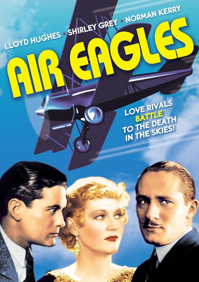 Air Eagles (DVD) (image for) Air Eagles (DVD)