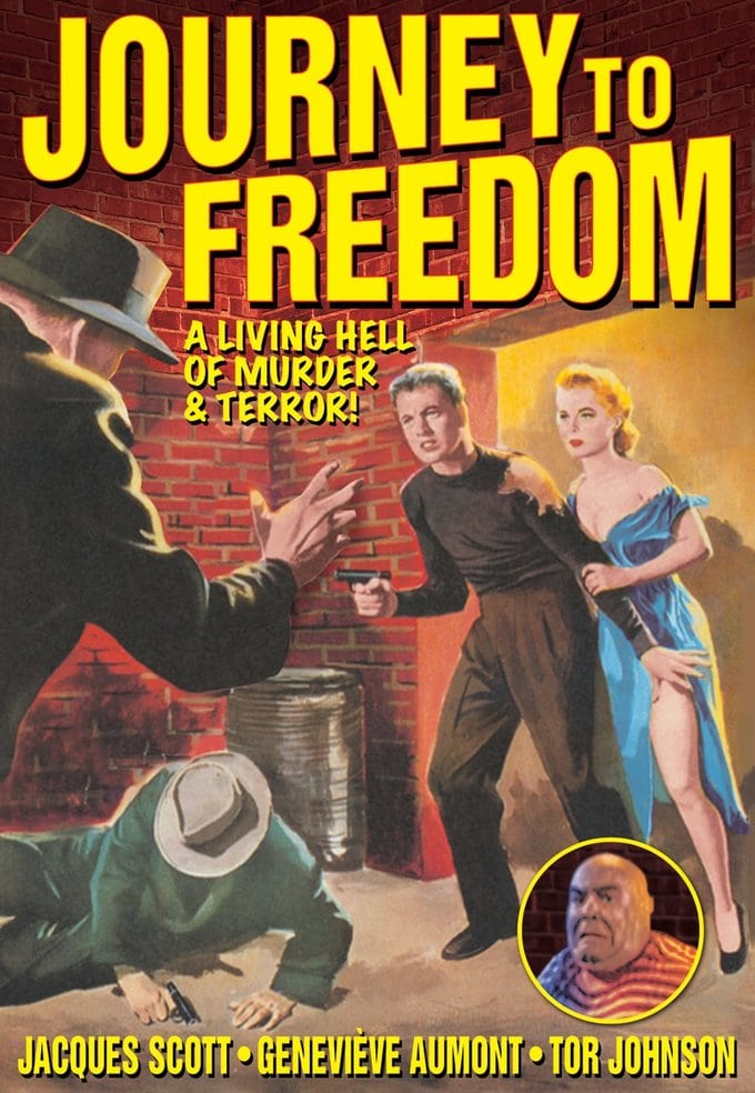 (image for) Journey To Freedom (DVD)