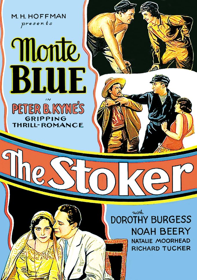 (image for) The Stoker (DVD)