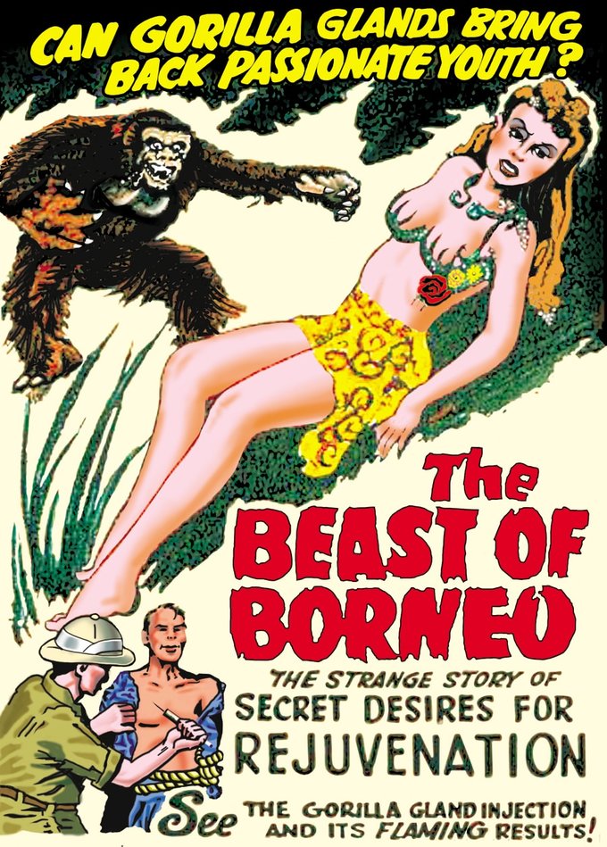 (image for) The Beast Of Borneo (DVD)