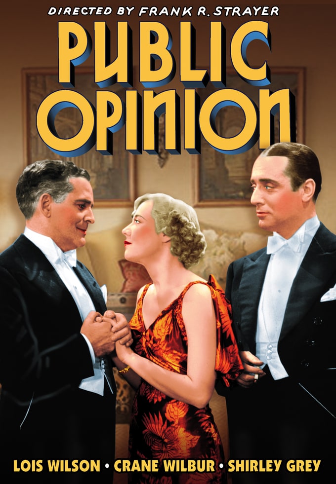Public Opinion (image for) Public Opinion