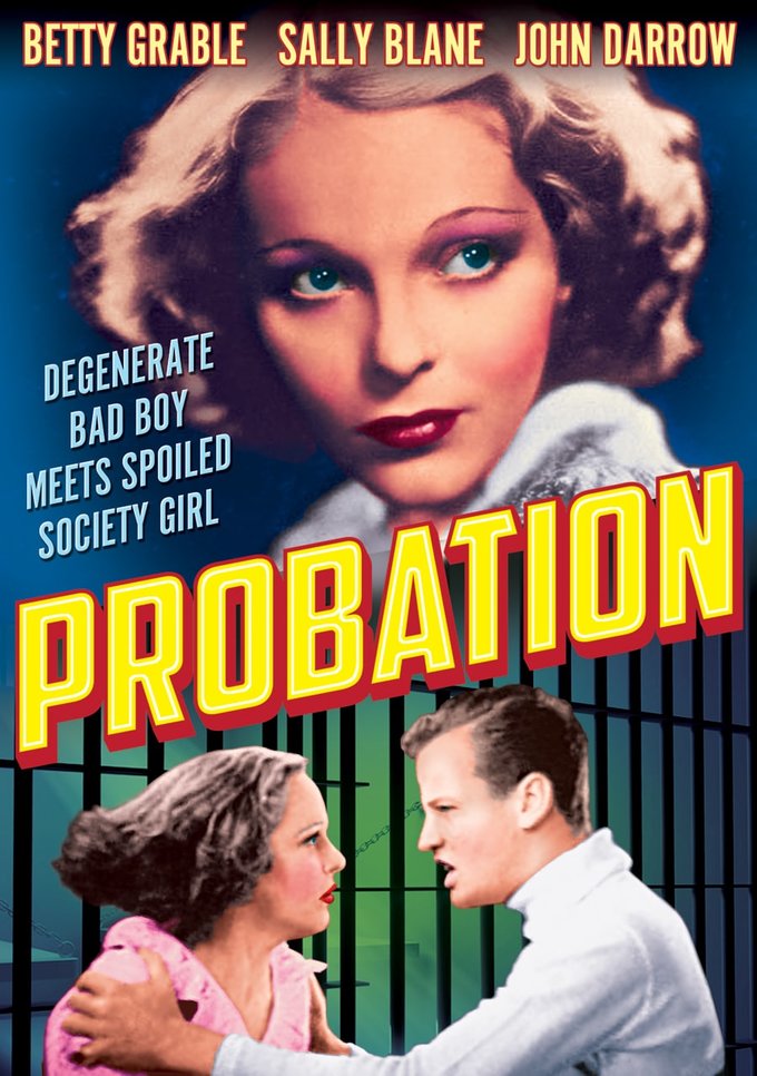 Probation (DVD) (image for) Probation (DVD)