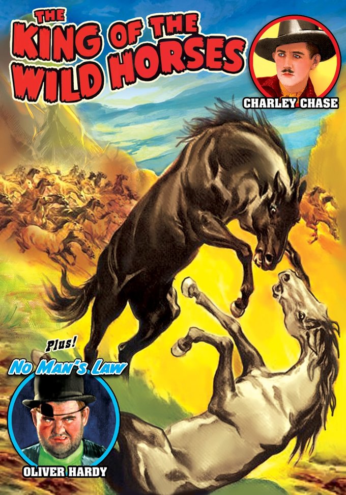 (image for) The King Of The Wild Horses / No Man's Law (DVD)